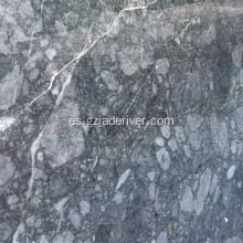 Italia Rock Blue Marble Stone para decoración